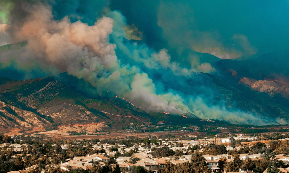 4 Devastating Effects of Wildfires on Communities
