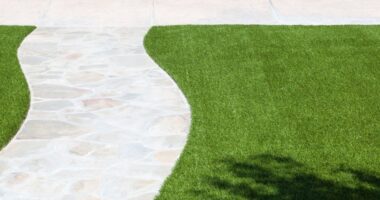 Why You Should Consider an Artificial Lawn