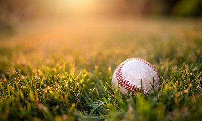 A close-up view shows a baseball sitting in a grassy area. The grass is green and the sun shines in the background.