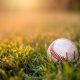 A close-up view shows a baseball sitting in a grassy area. The grass is green and the sun shines in the background.